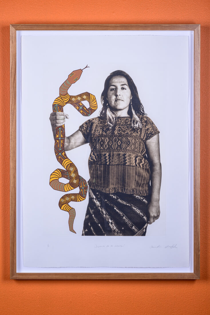 Serpiente de las estrellas