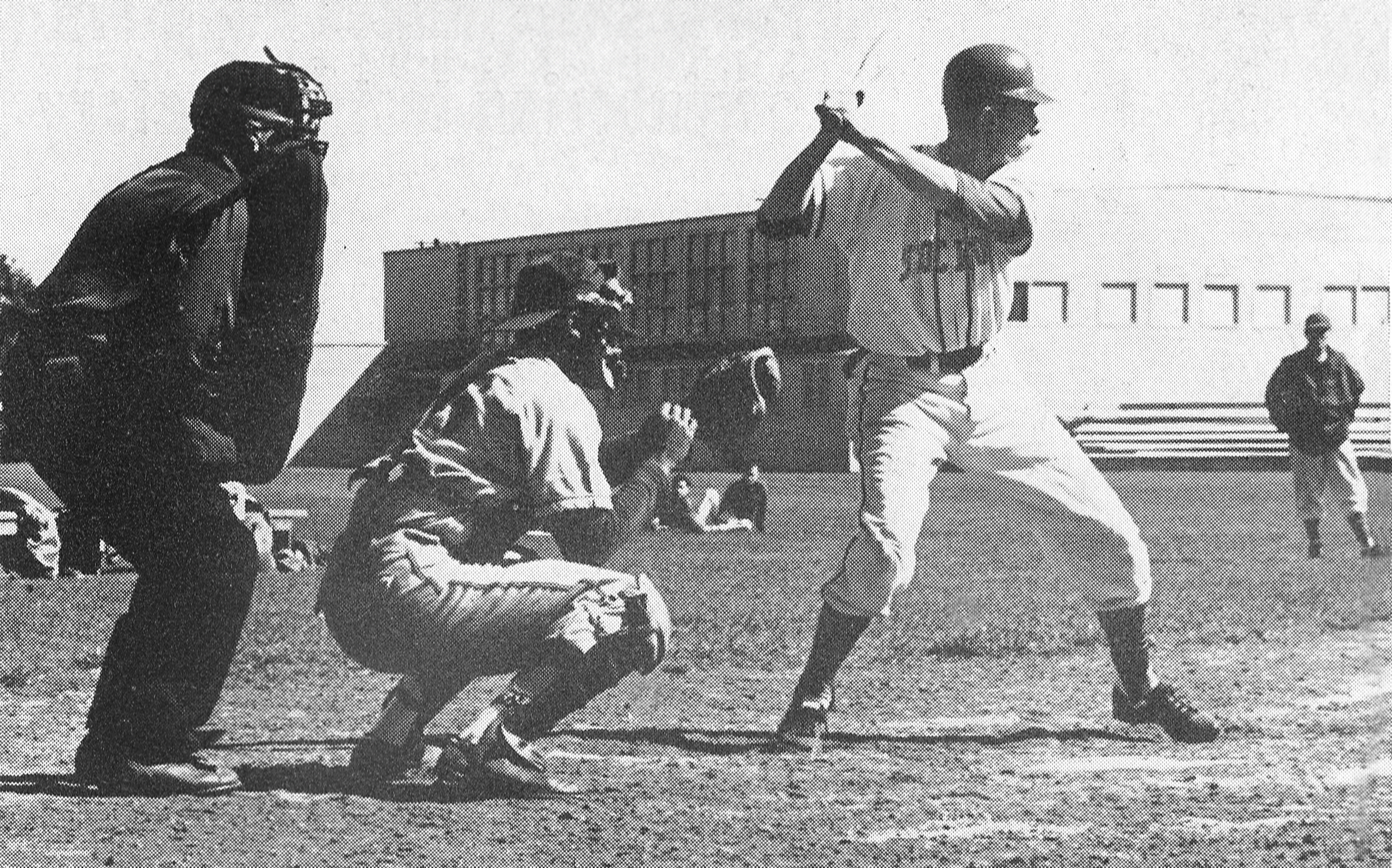 Mustangs on the baseball diamond