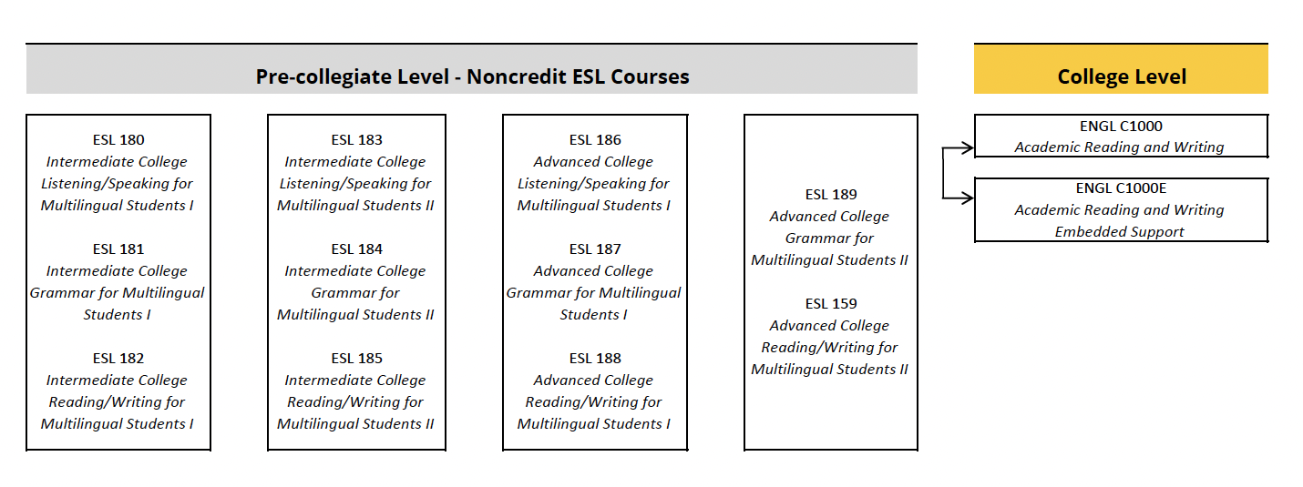 Chart showing ESL noncredit course pattern