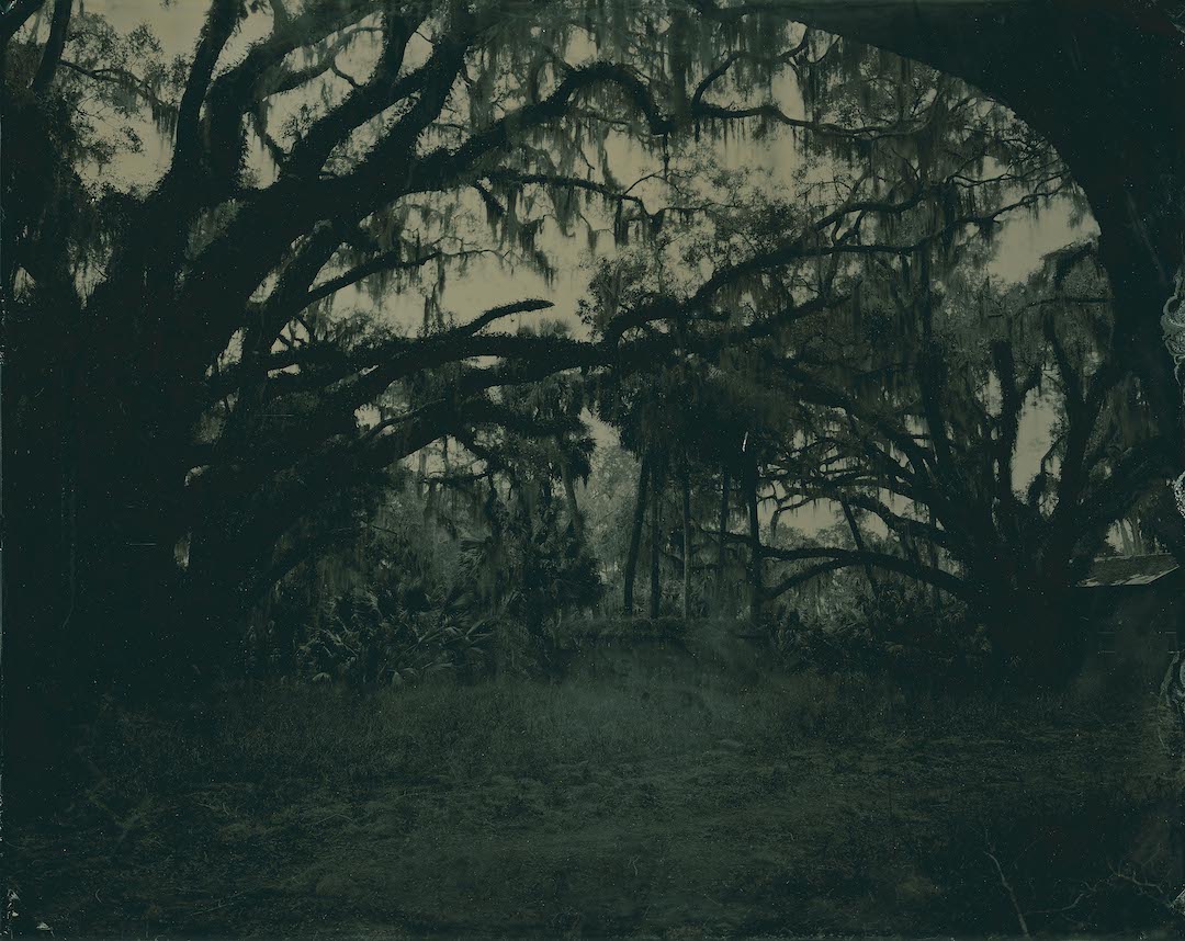 Photo of a piece by Rashod Taylor