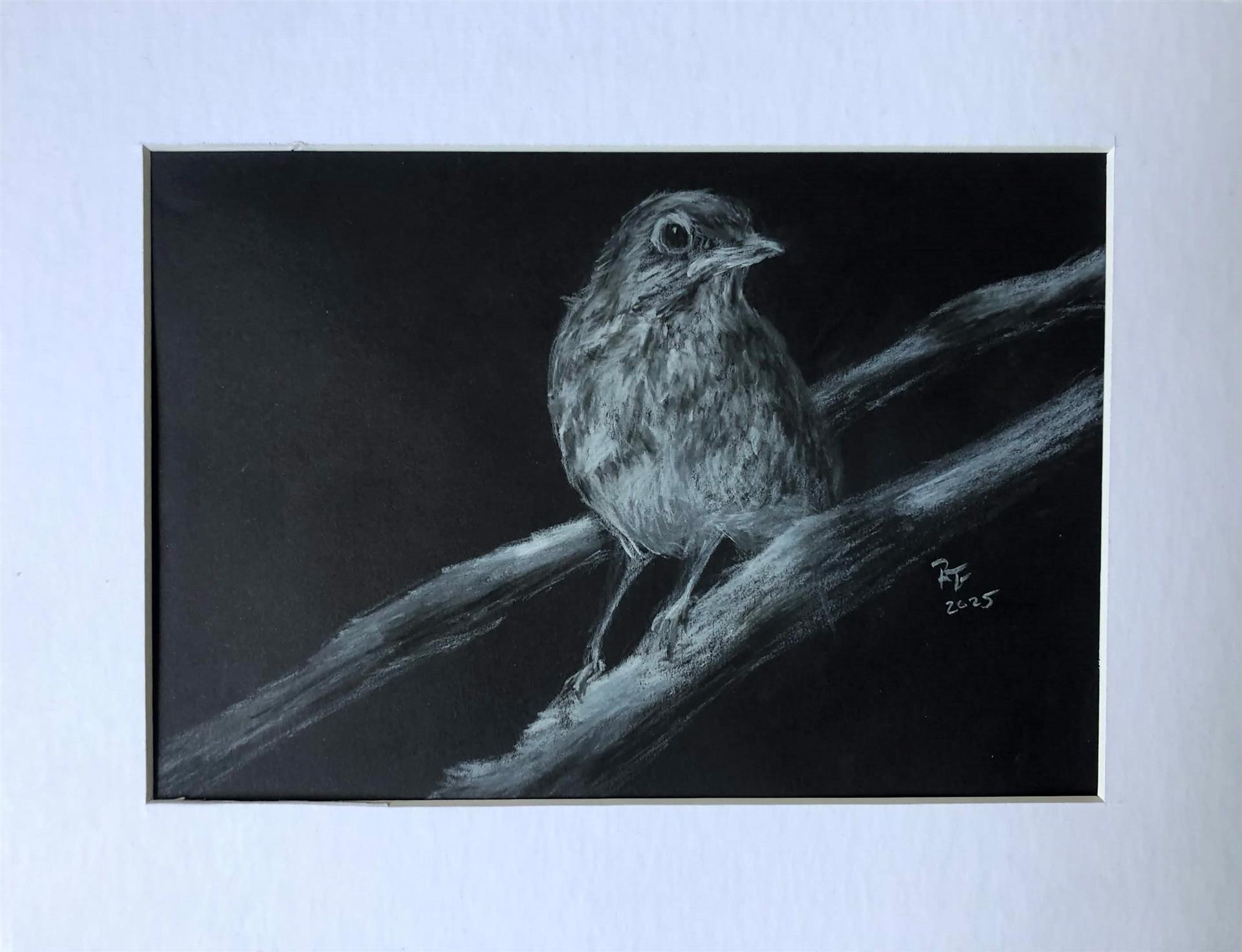 Song Sparrow Productive Procrastination by Rocky To