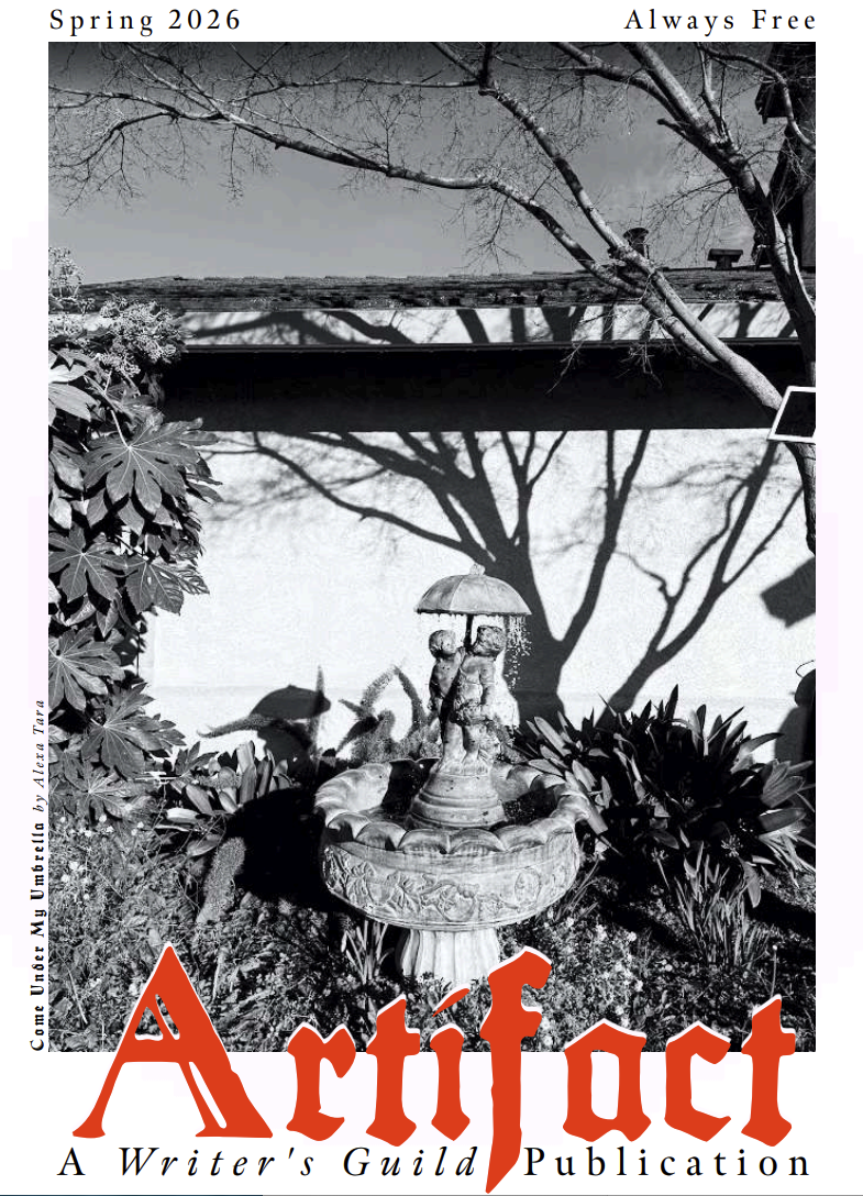 Artifact Magazine Cover Artwork