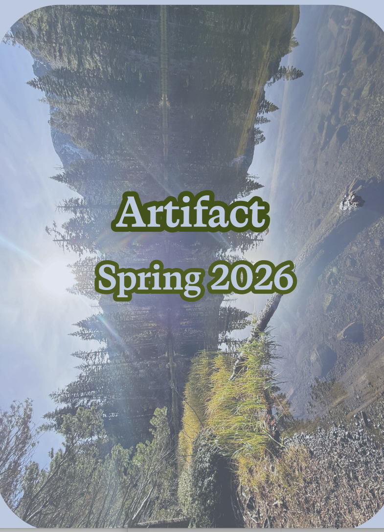 Artifact Magazine Cover Artwork