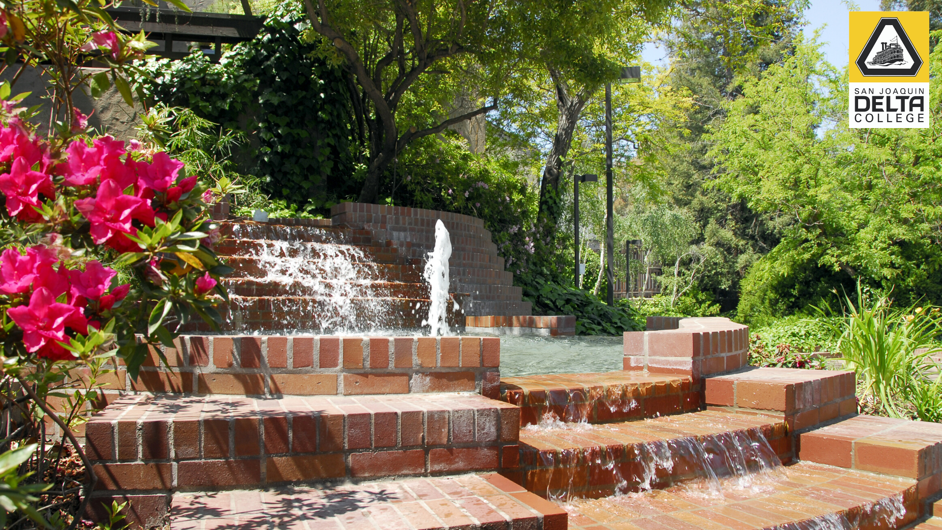 Fountain on Campus
