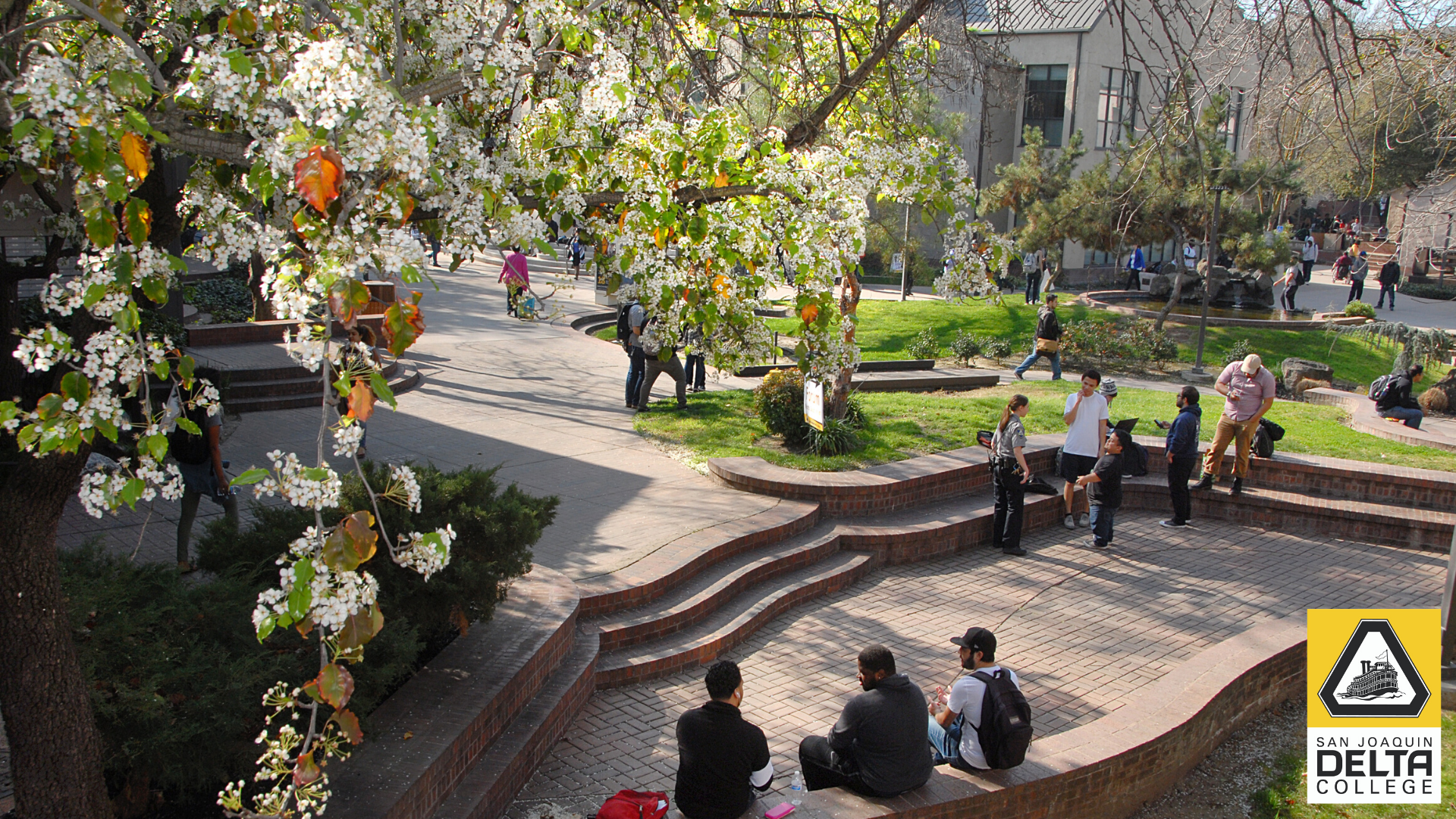 Campus Stairs