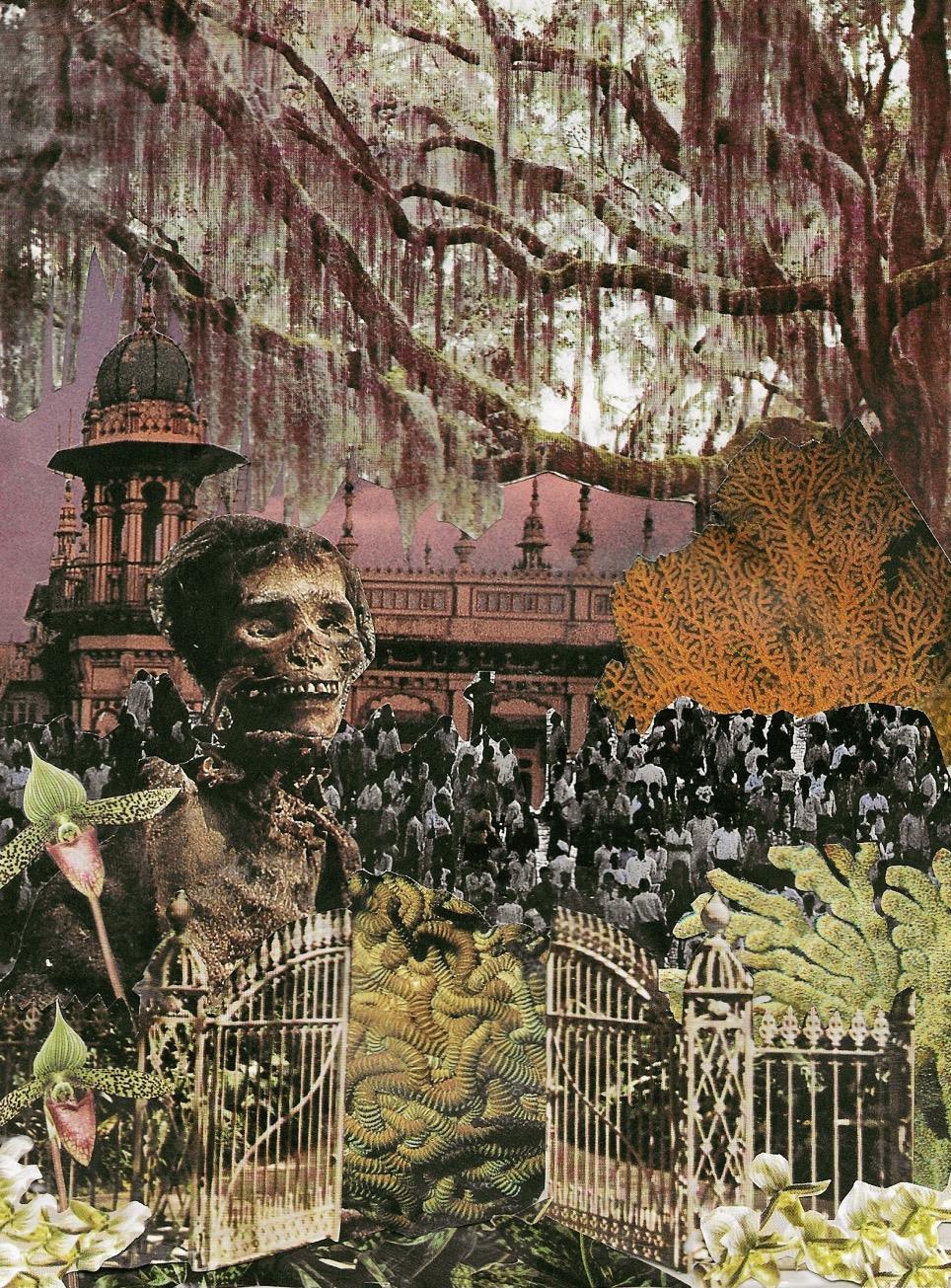 Kota (Natalie) Borsdorf