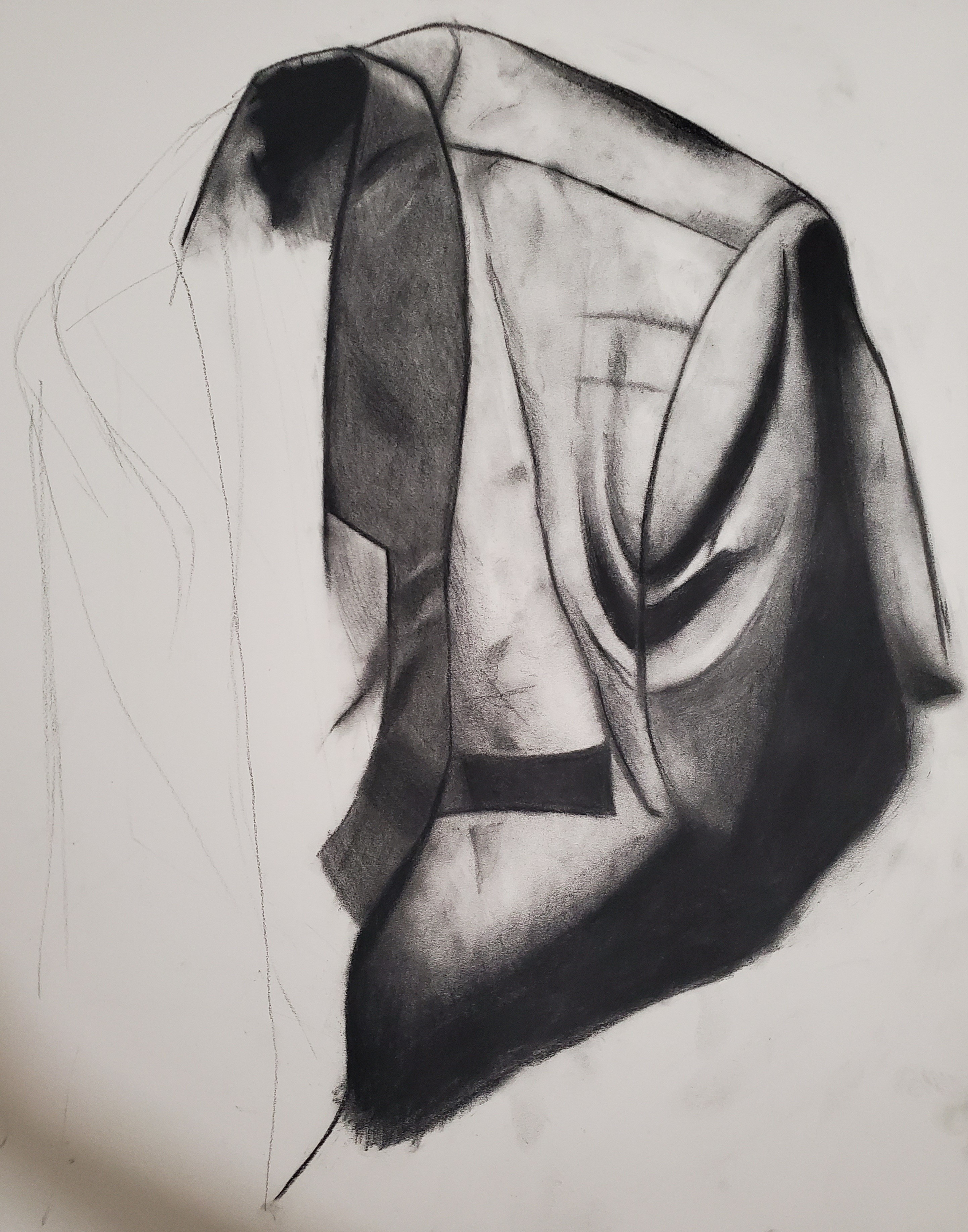 Amara Carrier - Drawing - Progress