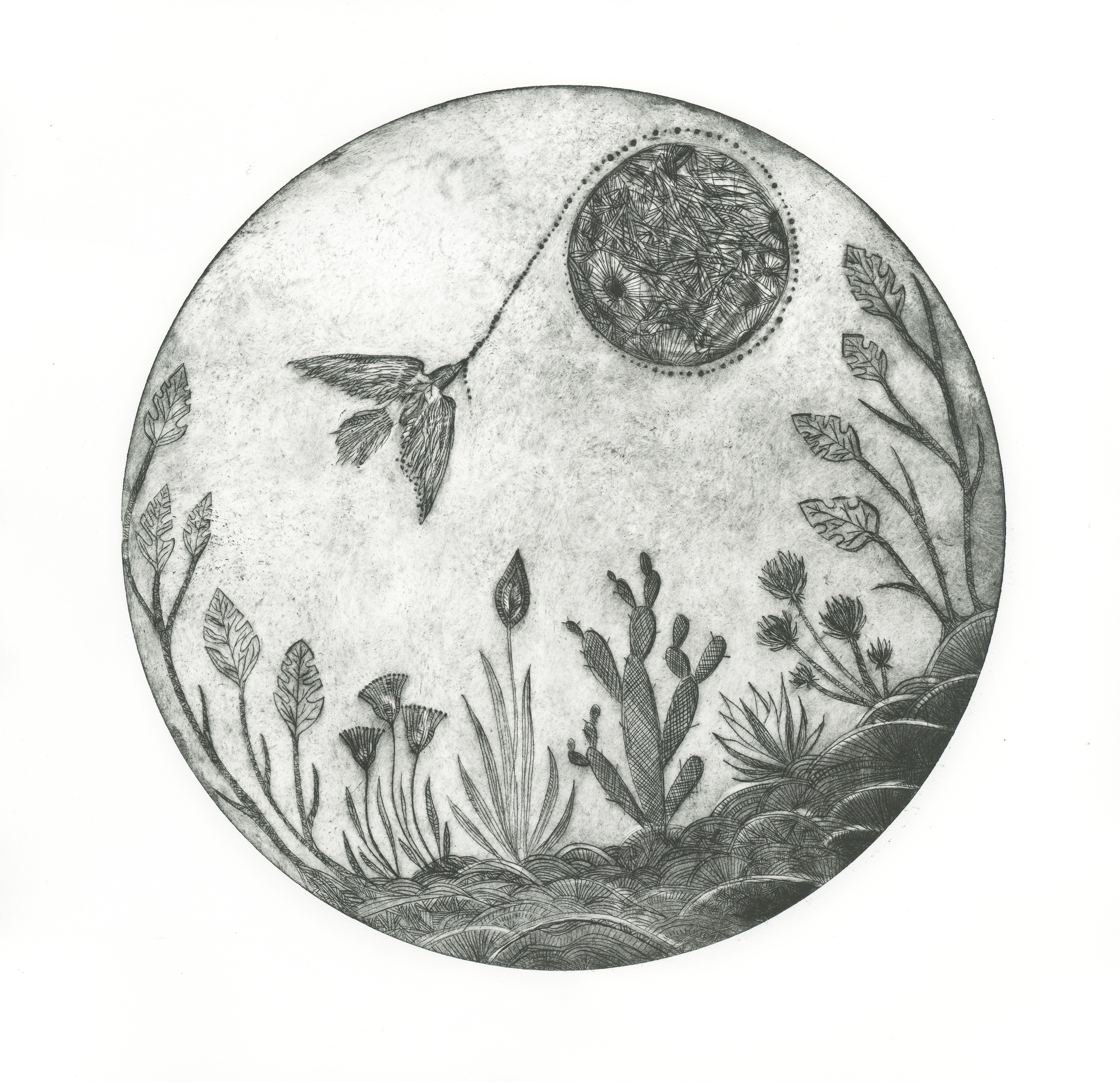 Elise Mahan - Printmaking - Harvest Moon