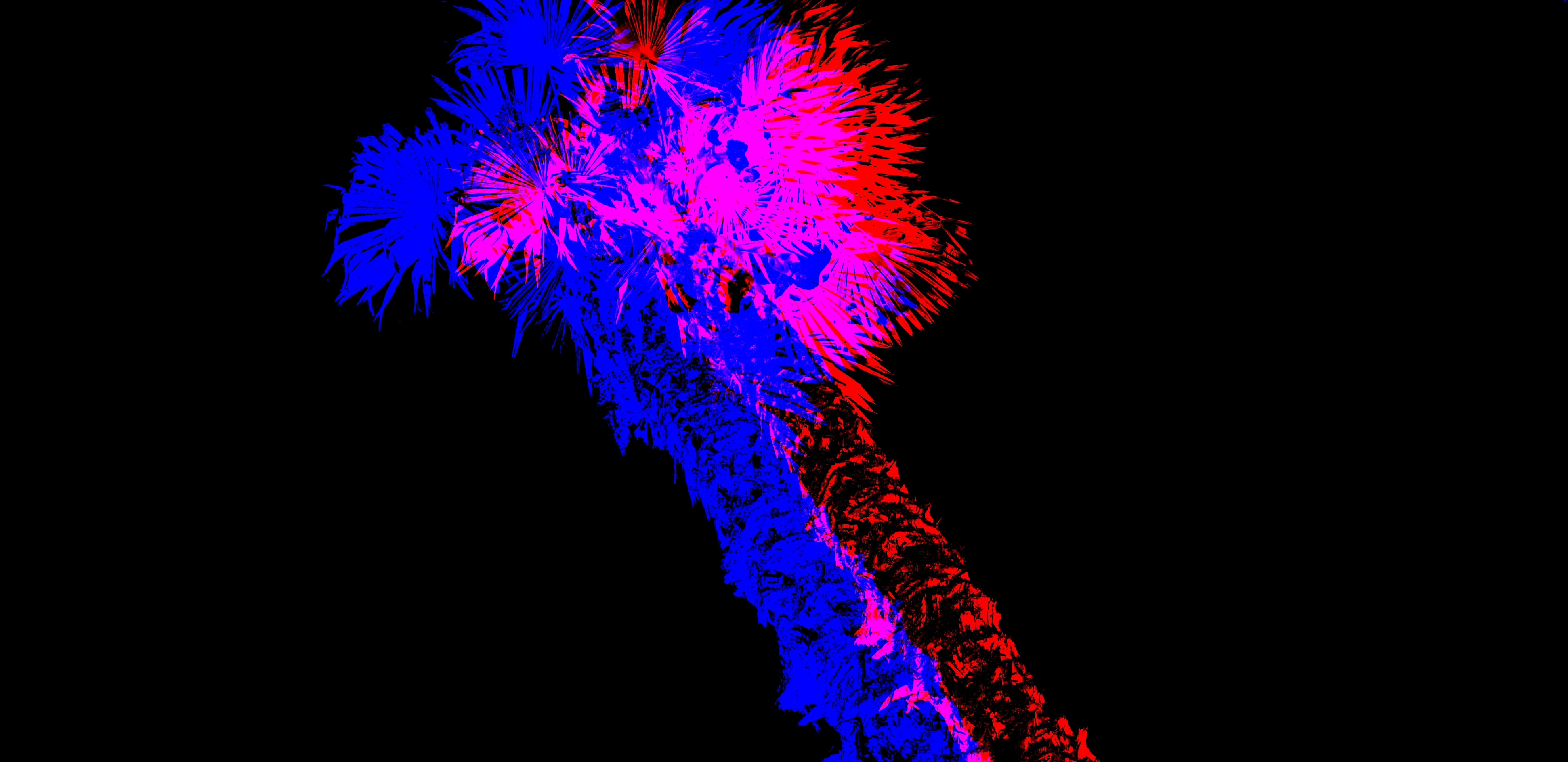 Alejandro Rodriguez-Hernandez - Photography - Abstract