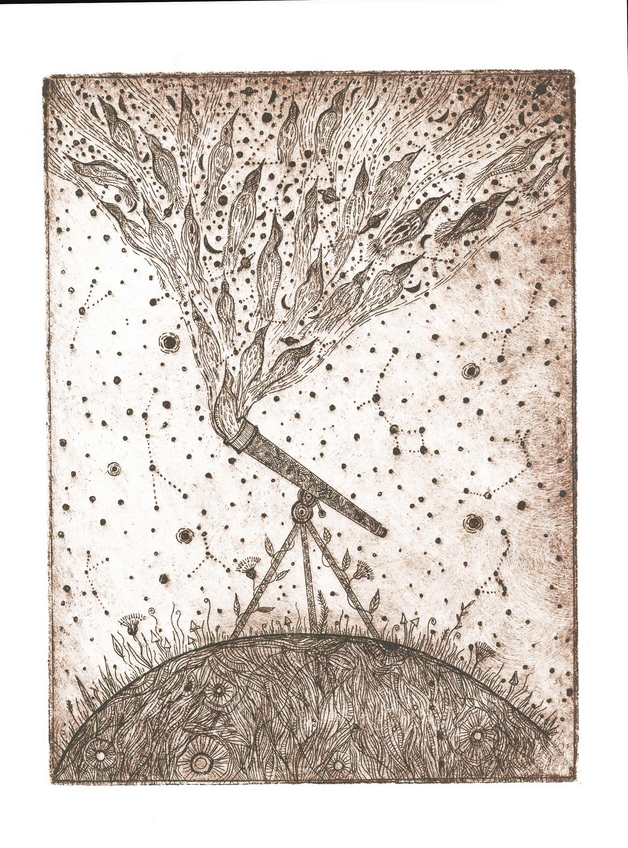 Elise Mahan - Printmaking - Migration