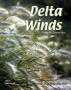 Delta Winds cover 2007