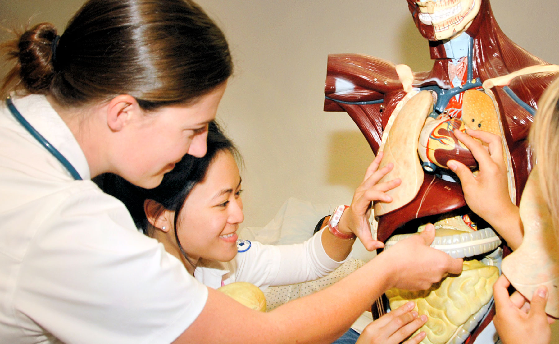 Nursing students study anatomy