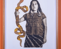 Serpiente de las estrellas