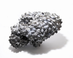 Spore Series Number 6