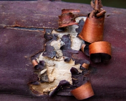 Unraveling the Impact by Benjamin Meeks