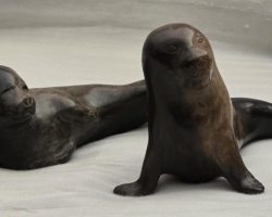 cournoyer twin seals