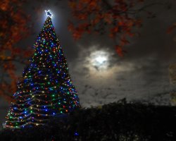 The 30th annnual 'Tree of Lights' ceremony will take place at 6 p.m. Tuesday, Nov. 20 at San Joaquin Delta College.