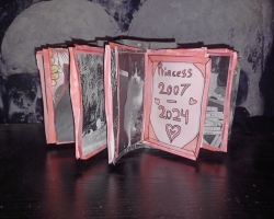 In memory of Princess by Katie Graham