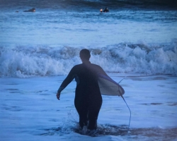 silverdis oceans edge