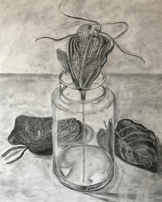 Celia Cardoza - Drawing - Vase