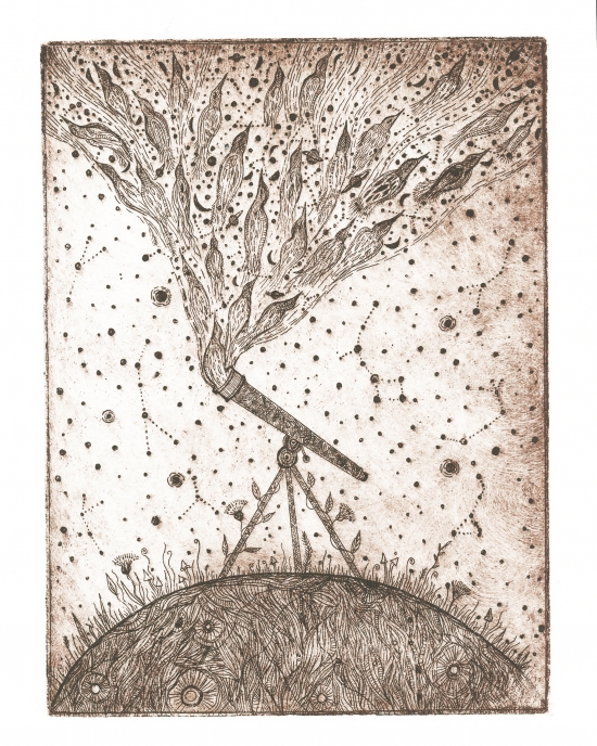 Elise Mahan - Printmaking - Abstract