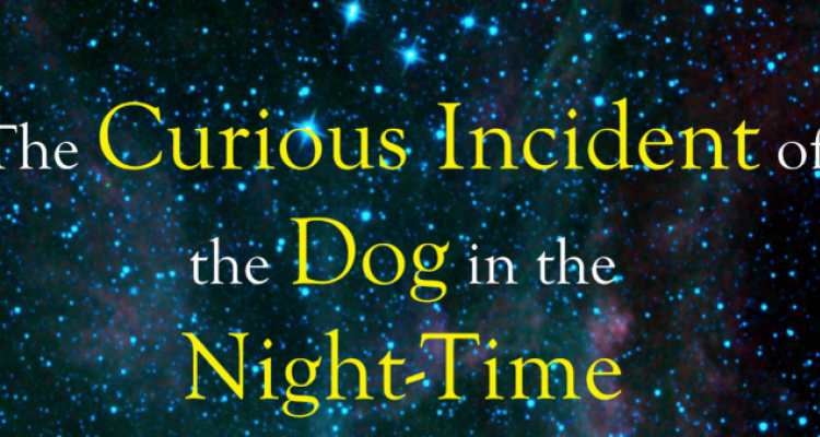 Curious Incident Promo Poster
