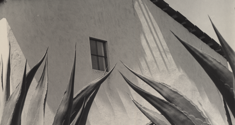 Photo by Manuel Alvarez Bravo, Ventana a los Magueyes, Mexico; UC Riverside California Museum of Photography