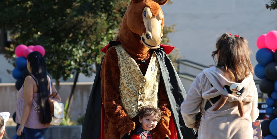 Photo of Fierce the Mustang interacting with a child at Fierce's Fall Fest