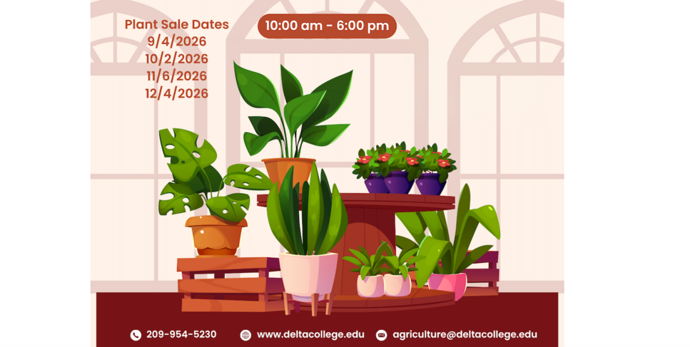 Event Flyer