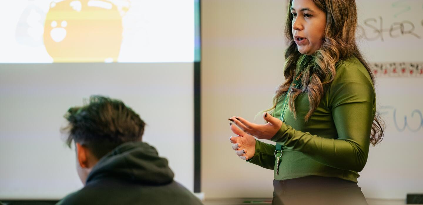 Photo of a Business Information Management professor in class