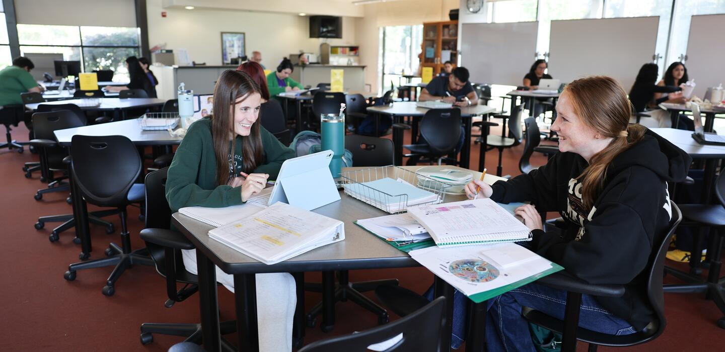 Two students study together at the Math and Science Learning Center