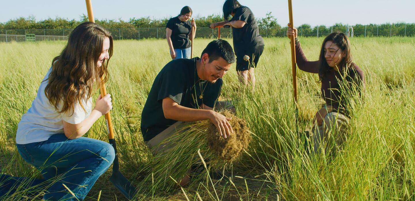 Photo of students working at the Manteca Farm