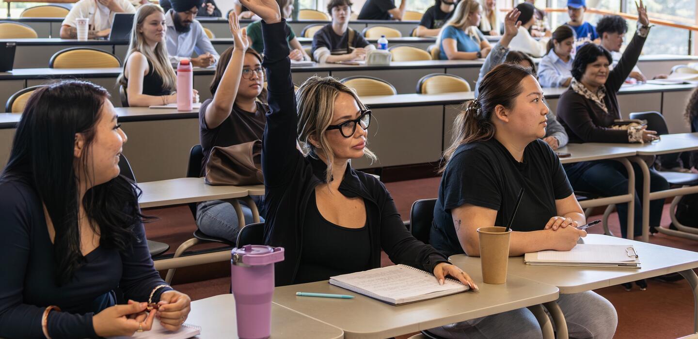 Students participating in a sociology lecture