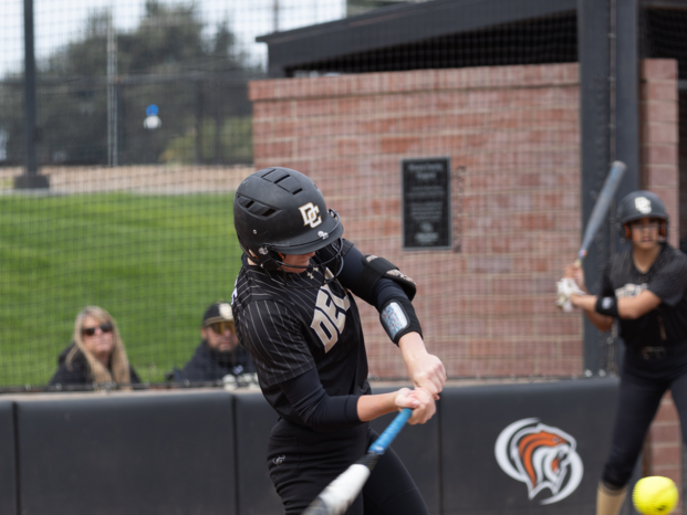 Baseball Player rebating the ball