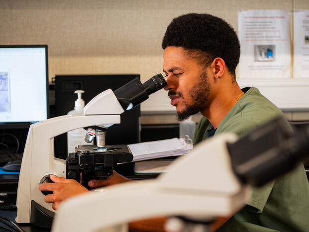Student looking through the microscope