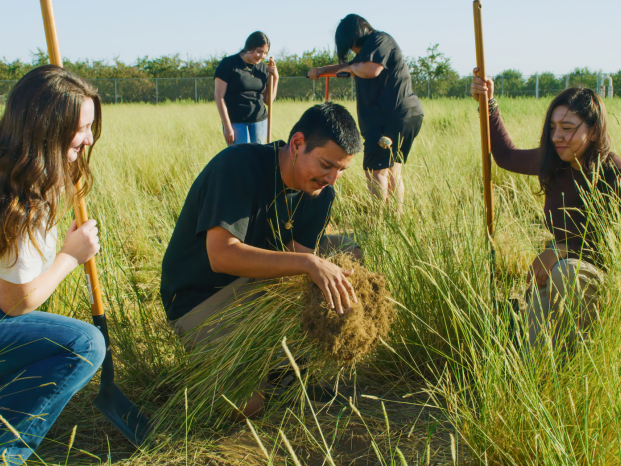 Students working together in a field, using a rake and shovel to cultivate the soil.