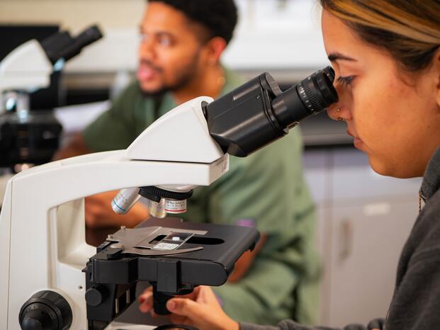 Biology students study specimens under microscopes