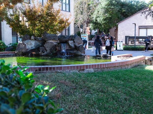 Photo of the koi pond at Delta College