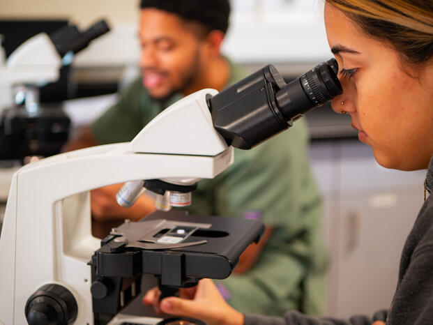 An anatomy student peers through a microscopy at a Mountain House lab course