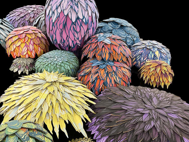 Photo of Upcycled Garden exhibit