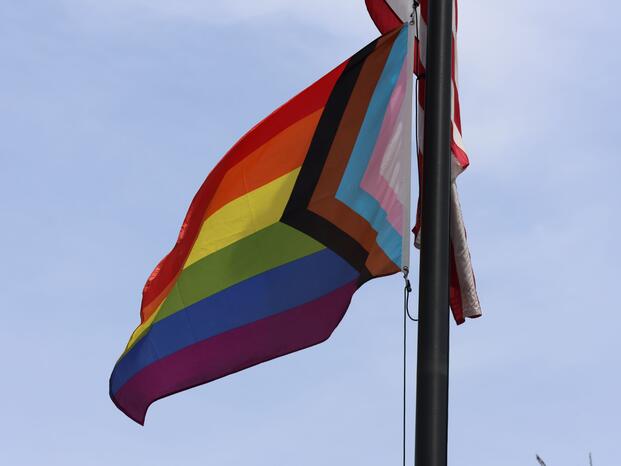 Pride flag flying on a flagpole against the sky.