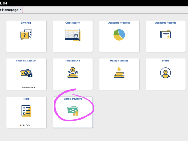 Screenshot of MyDelta Homepage