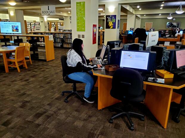 Photo of students using computers at Goleman Library