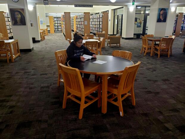 A student uses a quiet study area in Goleman Library
