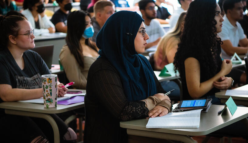 A group of students focused on their laptops while sitting at desks in a bright classroom.