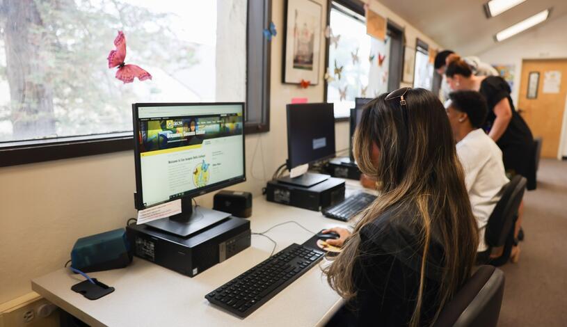 A student studies a computer screen