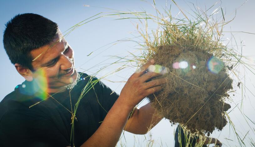 An agriculture student works in the fields 