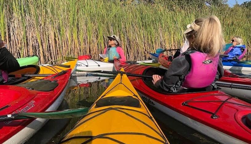 Photo of SICL members on a kayak trip