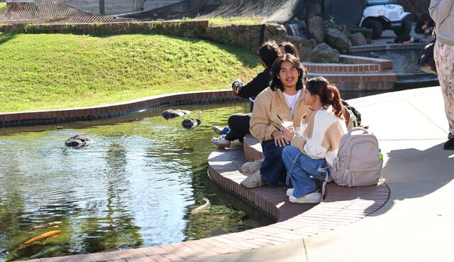 Students sit next to the koi pond