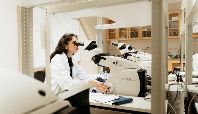 Photo of a student using an electron microscope